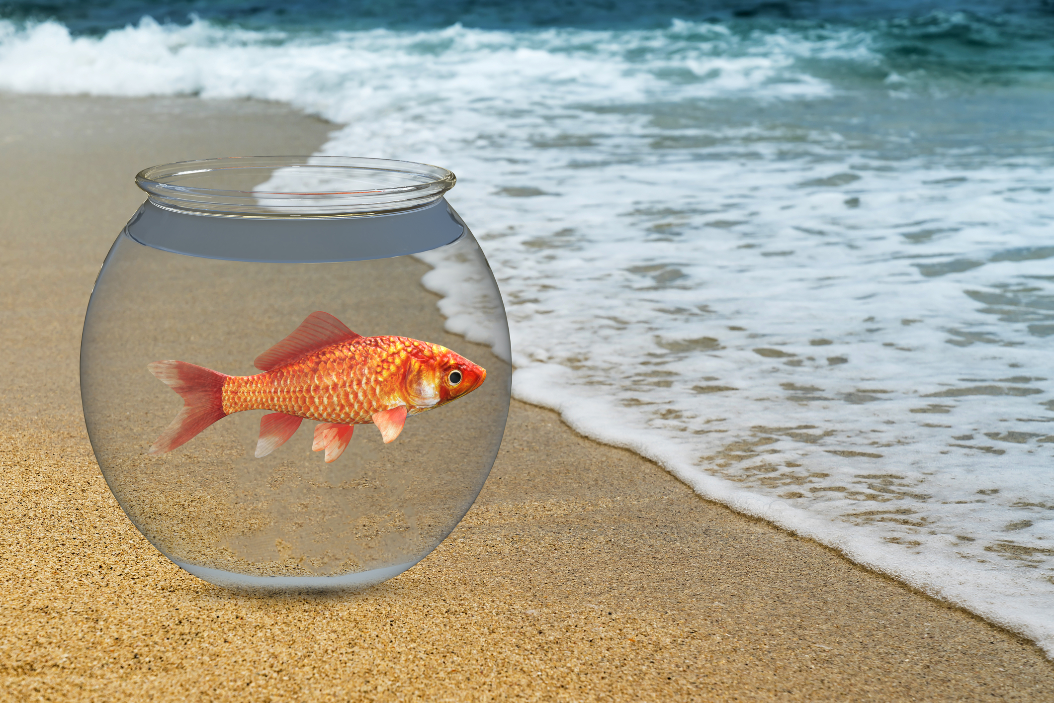 Leo J. Govoni Assaulted in Florida Jail